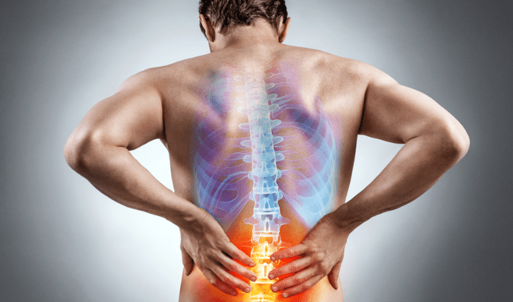 Service Provider of Sciatica Ayurvedic Treatment in New Delhi, Delhi, India.