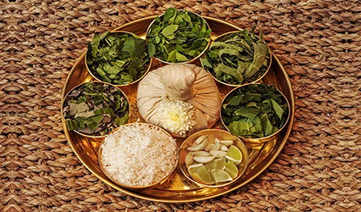 Service Provider of Naranga Kizhi Ayurvedic Treatment in New Delhi, Delhi, India.